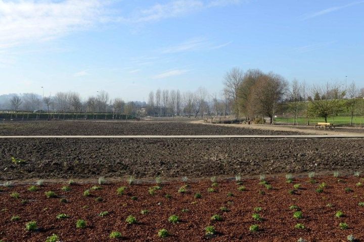Horta Pedagógica de Guimarães finalista do Green Project Awards