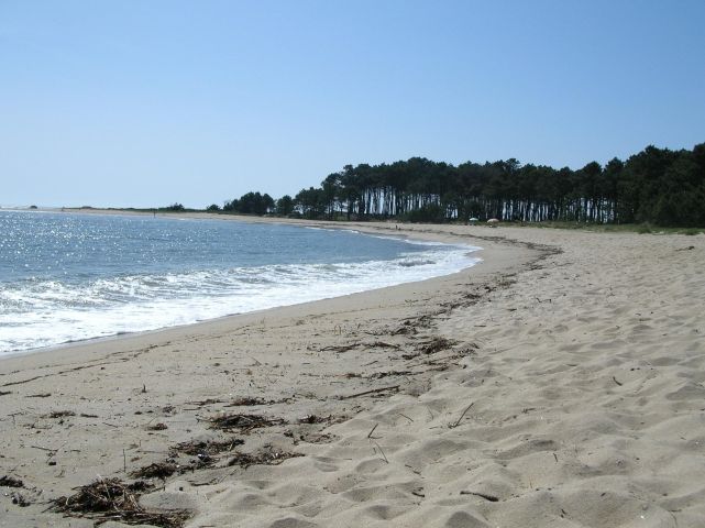 Galicia-Norte de Portugal obtiene 197 banderas azules para sus playas