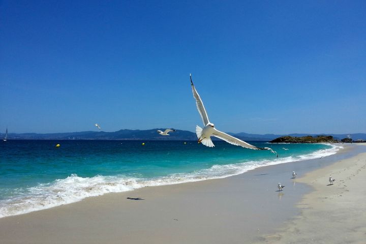 Un informe de la USC concluye que Galicia, Canarias y Andalucía serán los destinos predilectos este verano para los turistas españoles