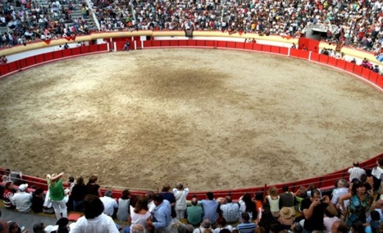 La plaza de toros de Viana va a ser transformada en pabellón deportivo