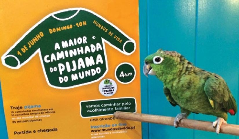La mayor Caminata de Pijamas del Mundo, se celebra este fin de semana en la Eurorregión