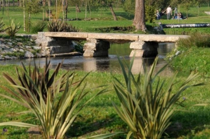 Famalicão quer criar corredores naturais nas margens dos rios