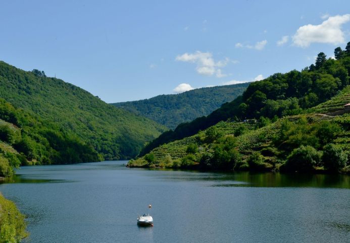 A Unesco declara a Ribeira Sacra e Serras do Oribio e Courel a sétima reserva da biosfera de Galicia